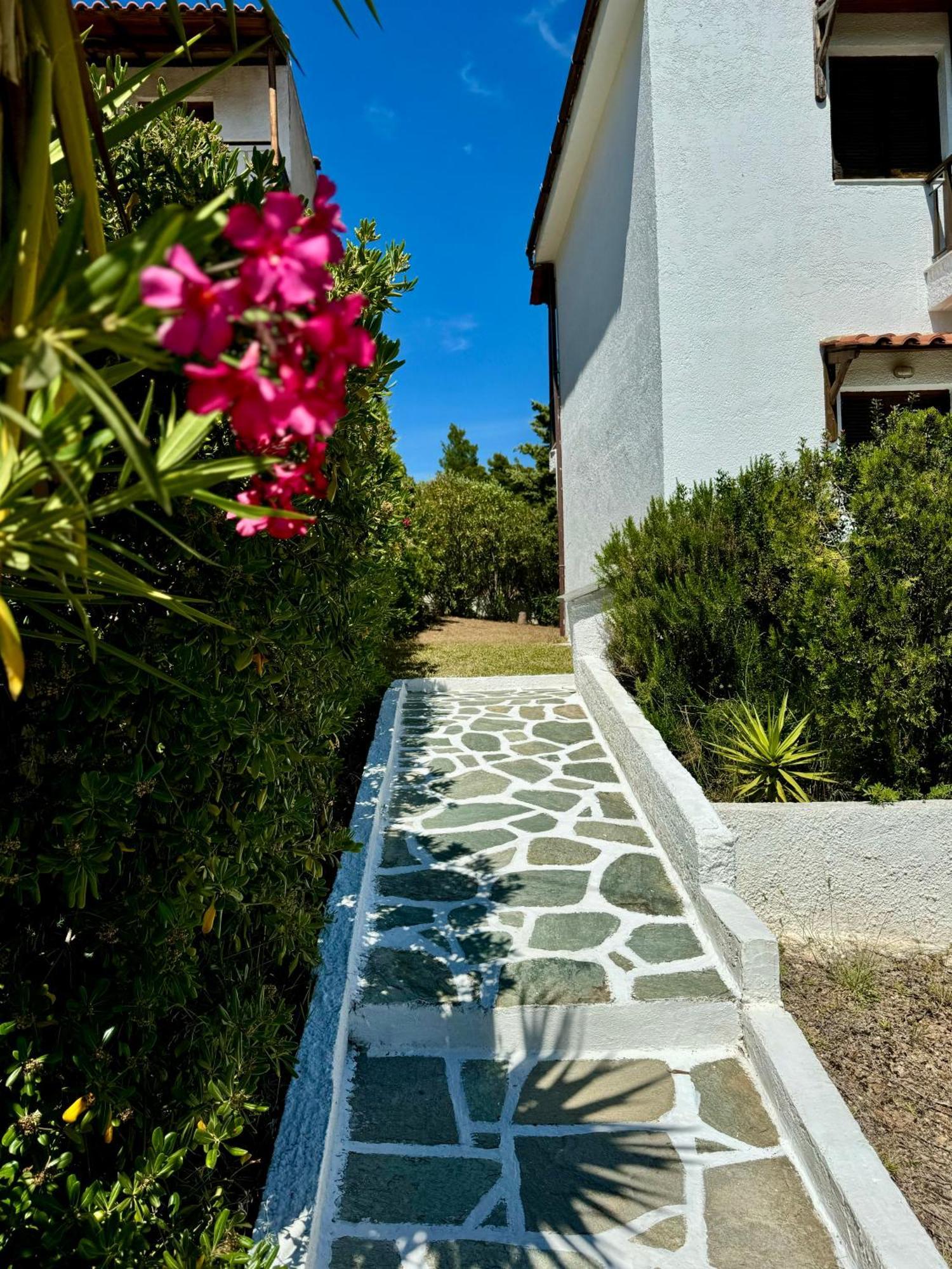Summer Luxury Villa With Sea View Metamorfosi  Bagian luar foto