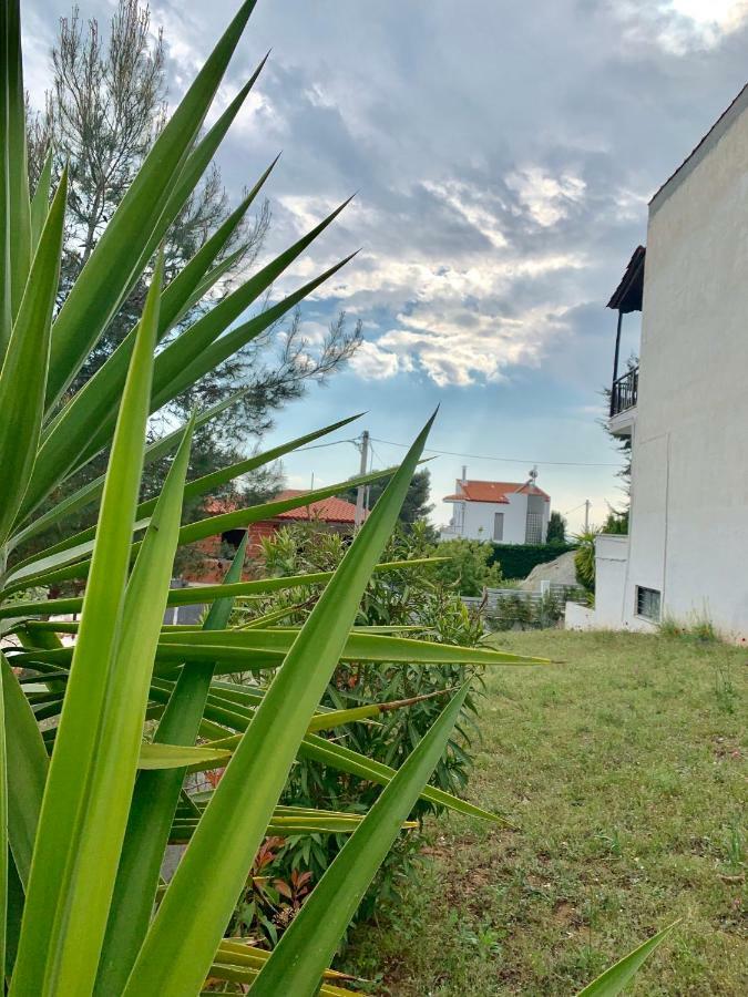 Summer Luxury Villa With Sea View Metamorfosi  Bagian luar foto