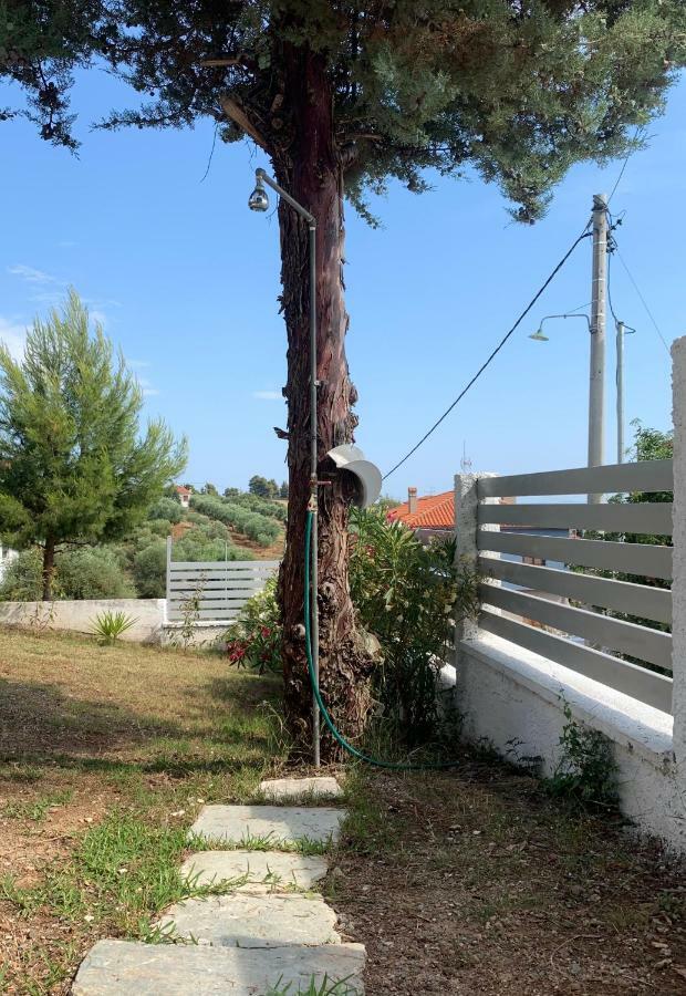 Summer Luxury Villa With Sea View Metamorfosi  Bagian luar foto